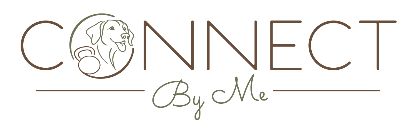 Logo Connect by Me