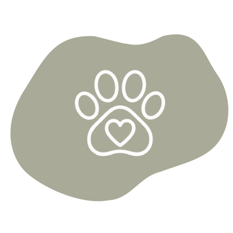Puppy Icoontjes ConnectByMe Hondenuitlaatservice Alphen aan den Rijn5