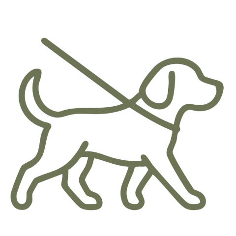 Wandeling TrajectIcoontjes ConnectByMe Hondenuitlaatservice Alphen aan den Rijn3